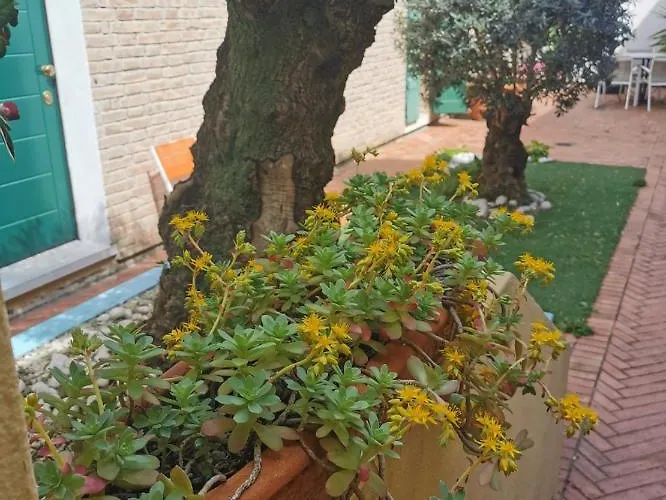 Alojamento de Acomodação e Pequeno-almoço La Chicca Ravena