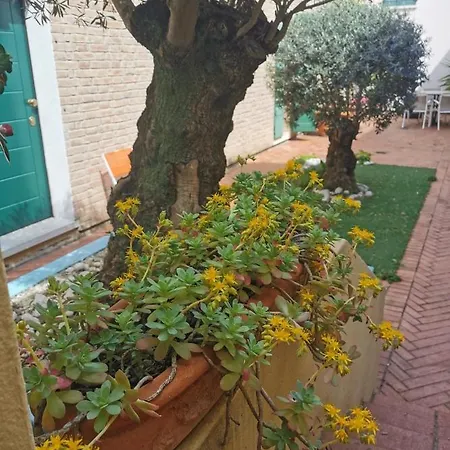 Panzió La Chicca Ravenna